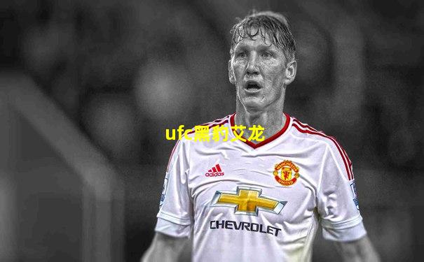 ufc黑豹艾龙