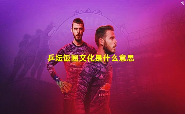 乒坛饭圈文化是什么意思