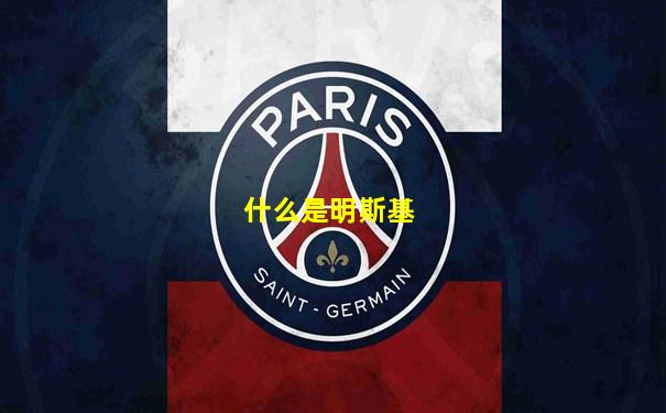 什么是明斯基