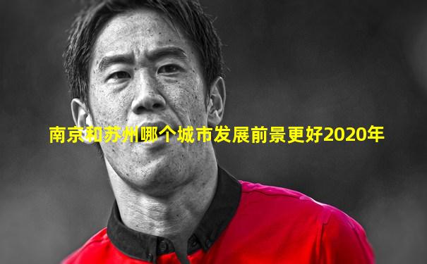 南京和苏州哪个城市发展前景更好2020年