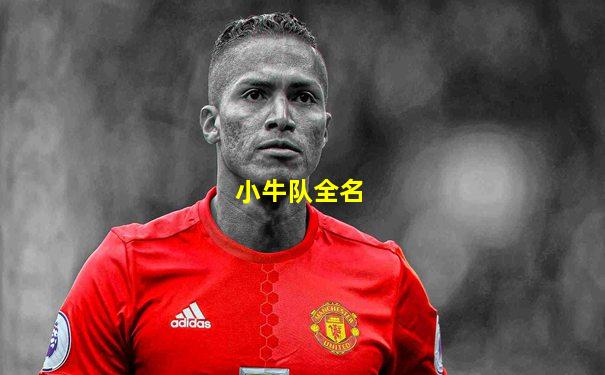 小牛队全名