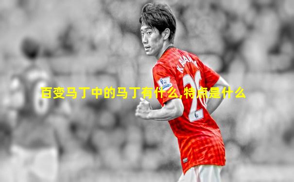百变马丁中的马丁有什么,特点是什么