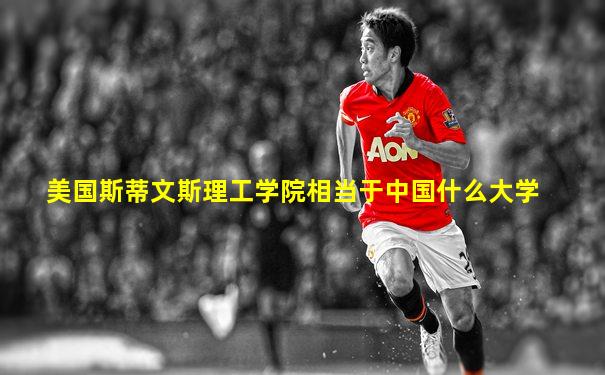 美国斯蒂文斯理工学院相当于中国什么大学
