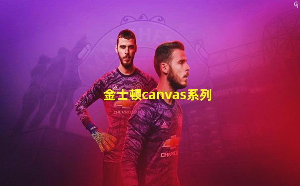金士顿canvas系列